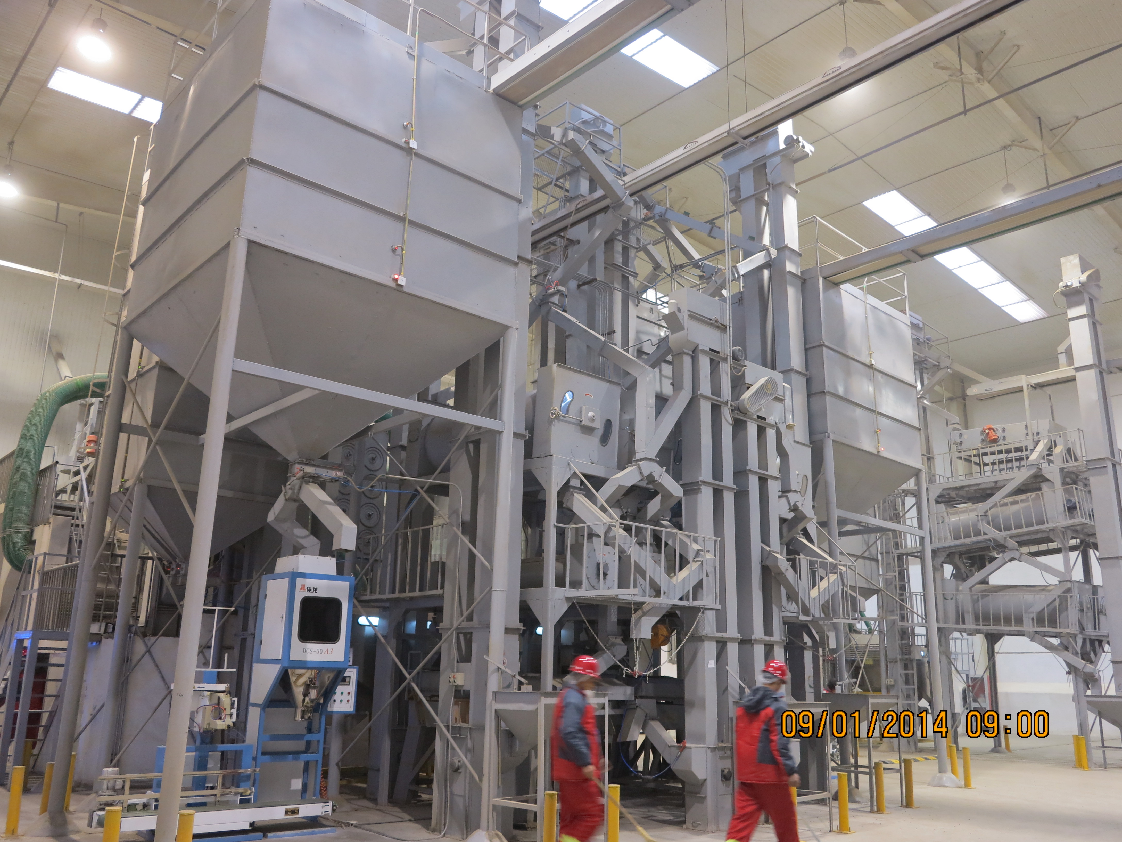 天津-芸豆加工厂