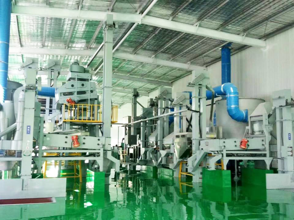 山东- 花生加工厂